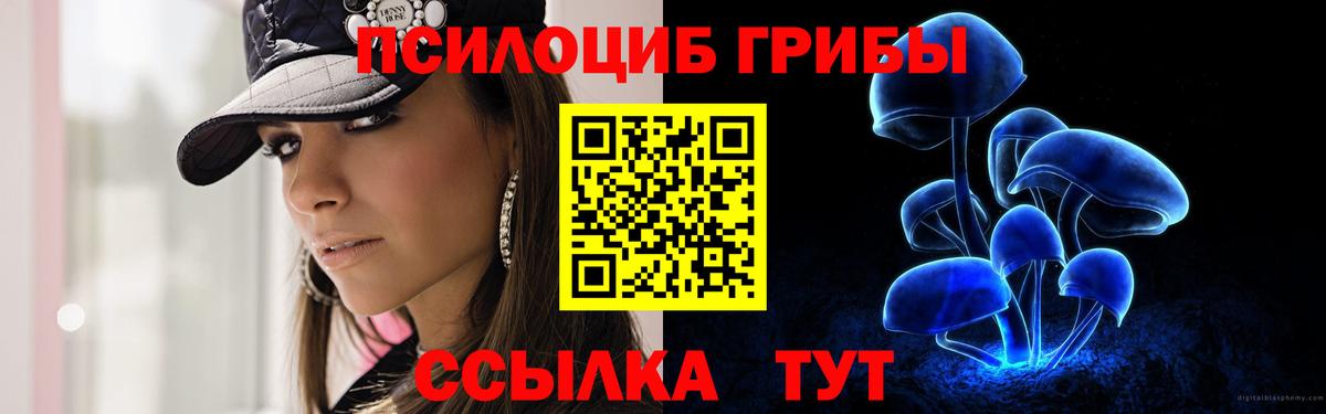 Галлюциногенные грибы GOLDEN TEACHER Партизанск